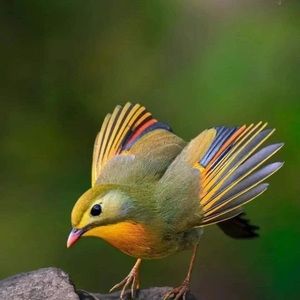 Meet your Posher, Bet